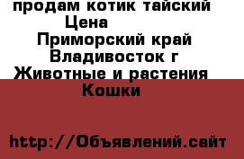 продам котик тайский › Цена ­ 2 500 - Приморский край, Владивосток г. Животные и растения » Кошки   